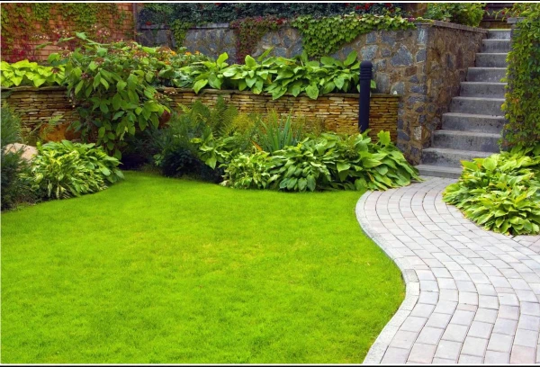 Entretien jardin